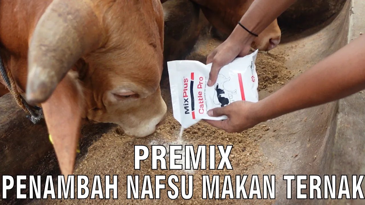 
                                 Premix-Penambah-Nafsu-Makan-Ternak